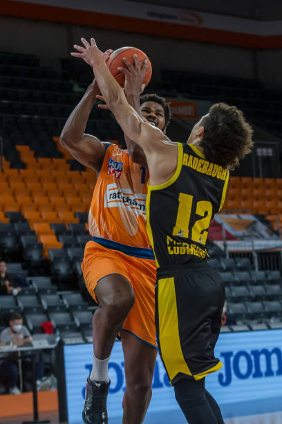 双双摘得金 双双摘得金